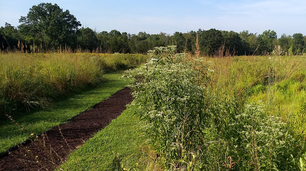 Manassas Battlefiekd trail to Deep Cut
